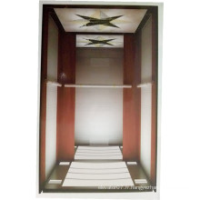 Fjzy-Haute Qualité et Sécurité Maison Ascenseur Fjs-1601